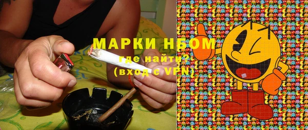 гашик Михайловск