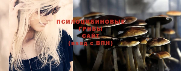 экстази Михайлов