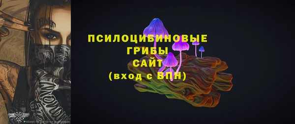 гашик Михайловск
