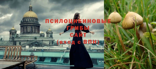 экстази Михайлов