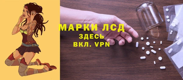 гашик Михайловск