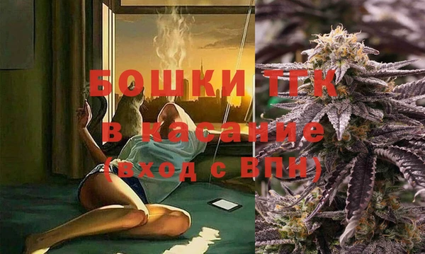 гашик Михайловск