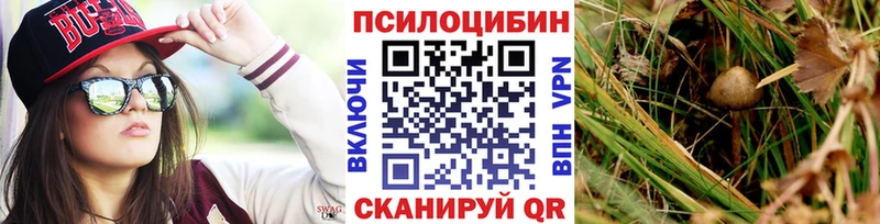сайты даркнета официальный сайт  Данков  Галлюциногенные грибы Psilocybine cubensis 